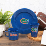 U of Florida Enamelware Dinner Plates, Medium Blue Speckle, Set of 4