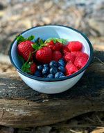 RBW93 - Black Rolled Rim Bowls - Set of 4 - Golden Rabbit Enamelware