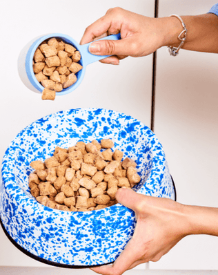 Splatter Large Pet Bowl