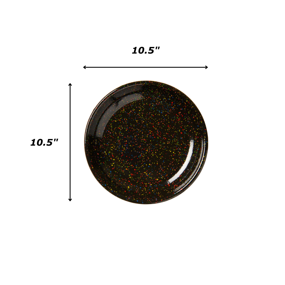 cch-rainbow-dinner-plates image 4