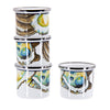 Set of 4 Oyster Shooters