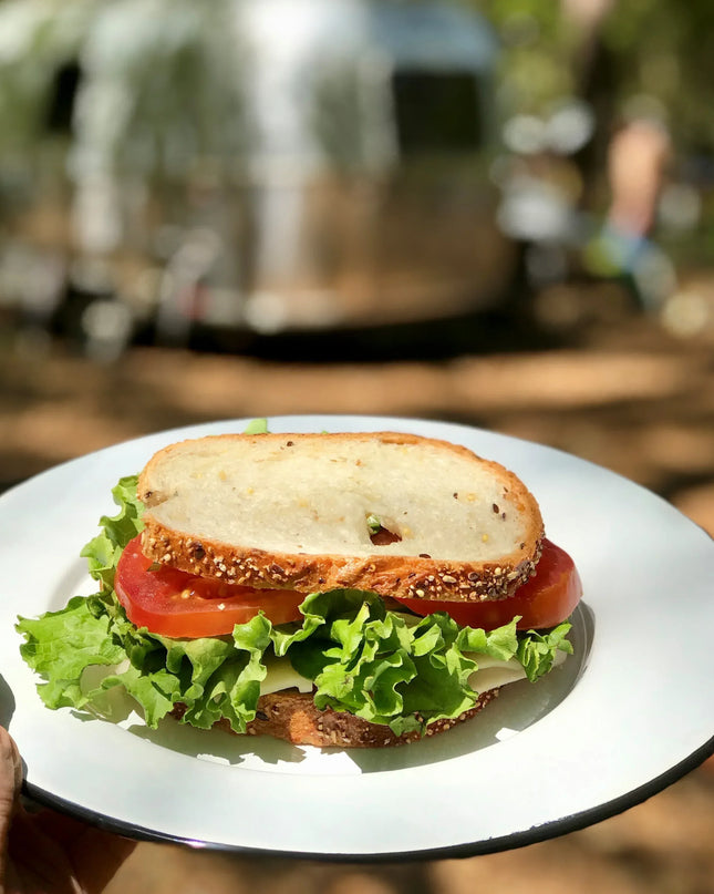 RBW91 - Black Rolled Rim Plates - Set of 4 - Golden Rabbit Enamelware