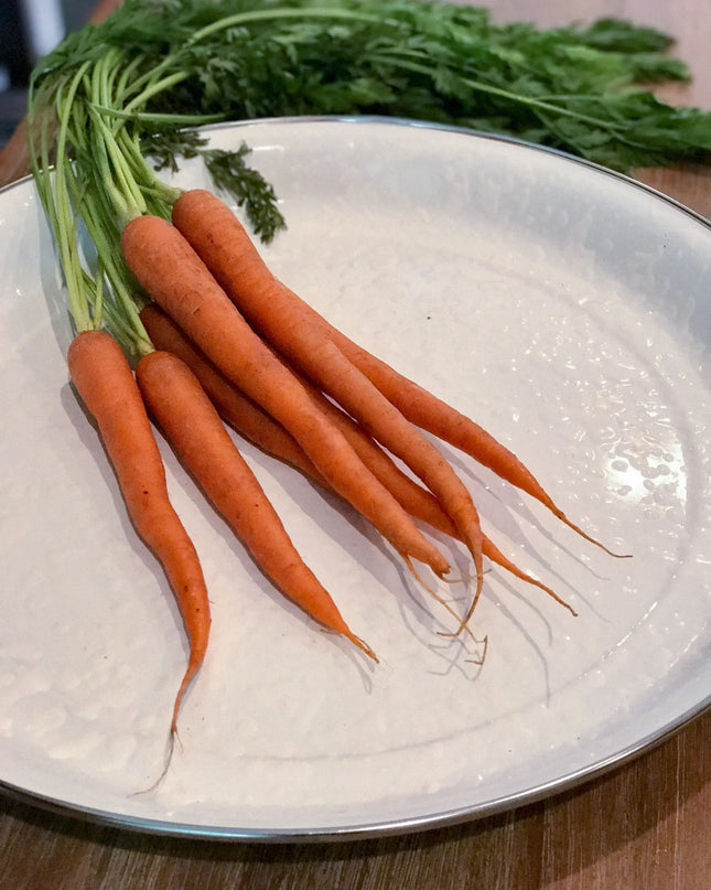 WW21 - White Solid Medium Tray - Golden Rabbit Enamelware