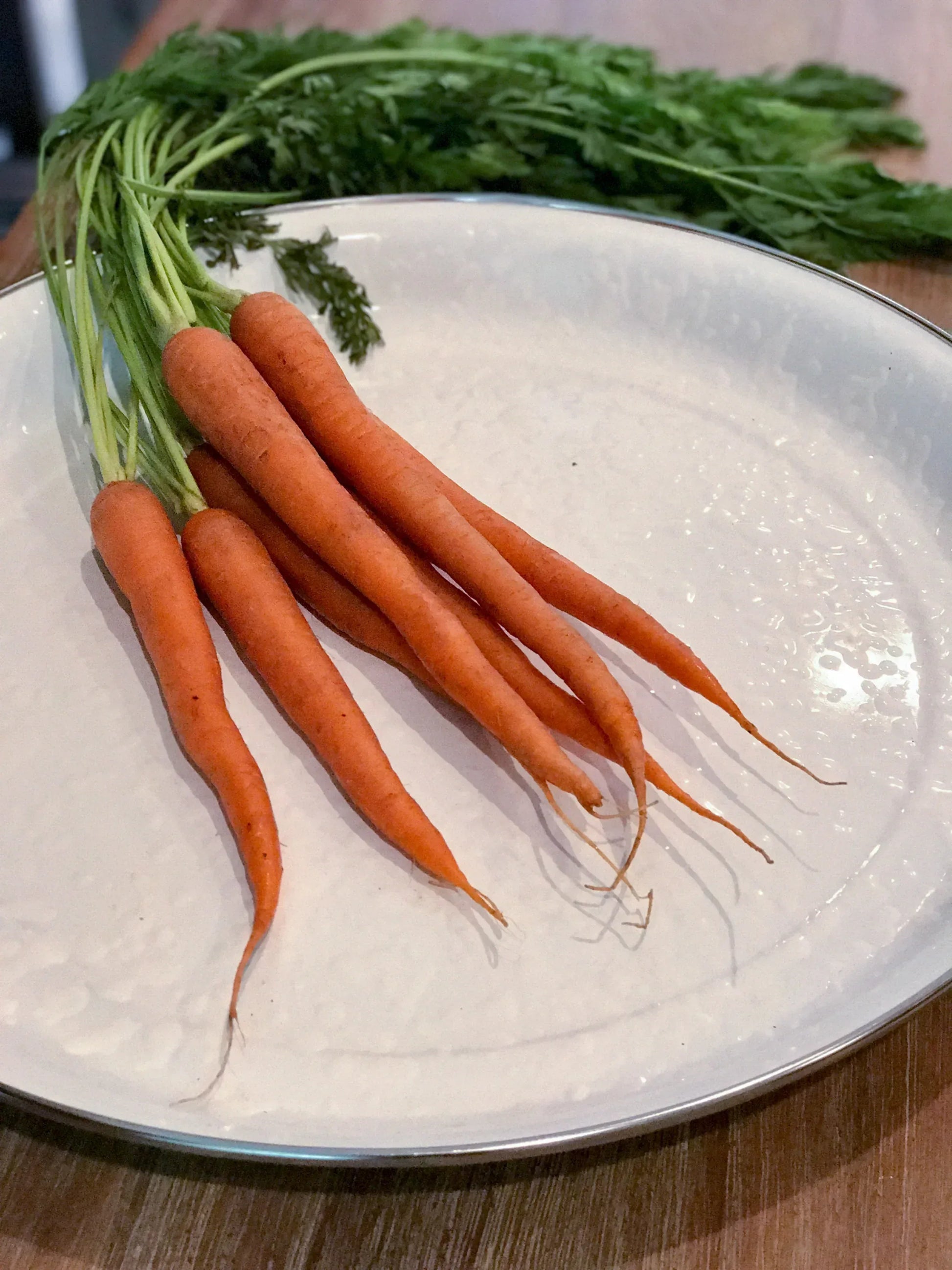 WW21 - White Solid Medium Tray - Golden Rabbit Enamelware